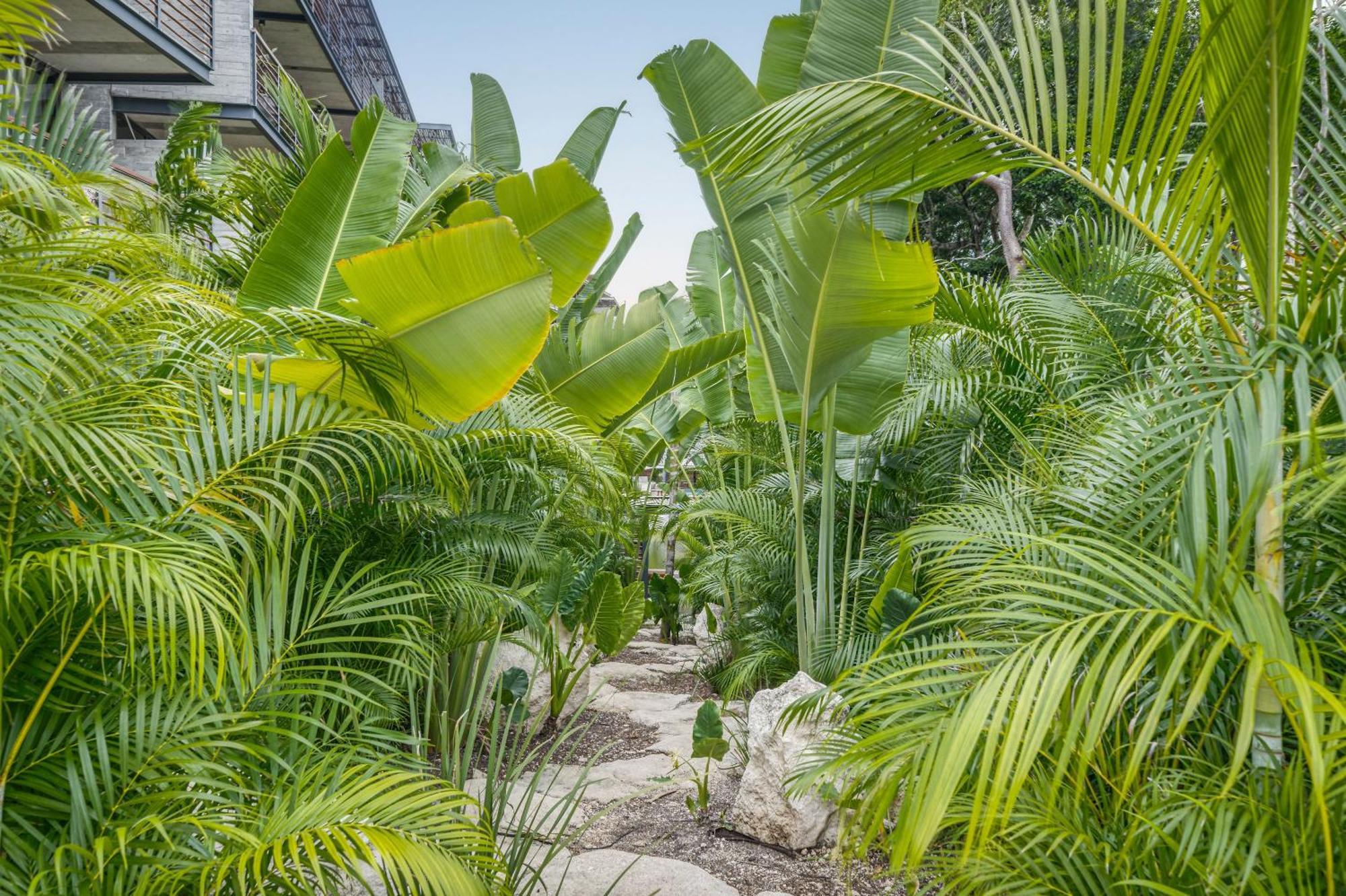 Waterworld Tulum 2Br W Cenote -Lagoons - Big Gym エクステリア 写真